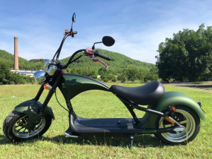 Moto eletrica elemovi Clearance