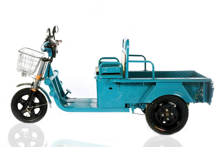 Triciclo Mini Cargo
