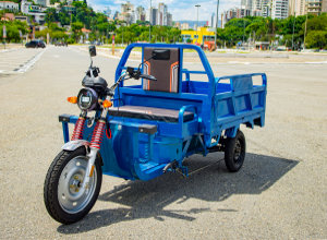 Triciclo Super Cargo